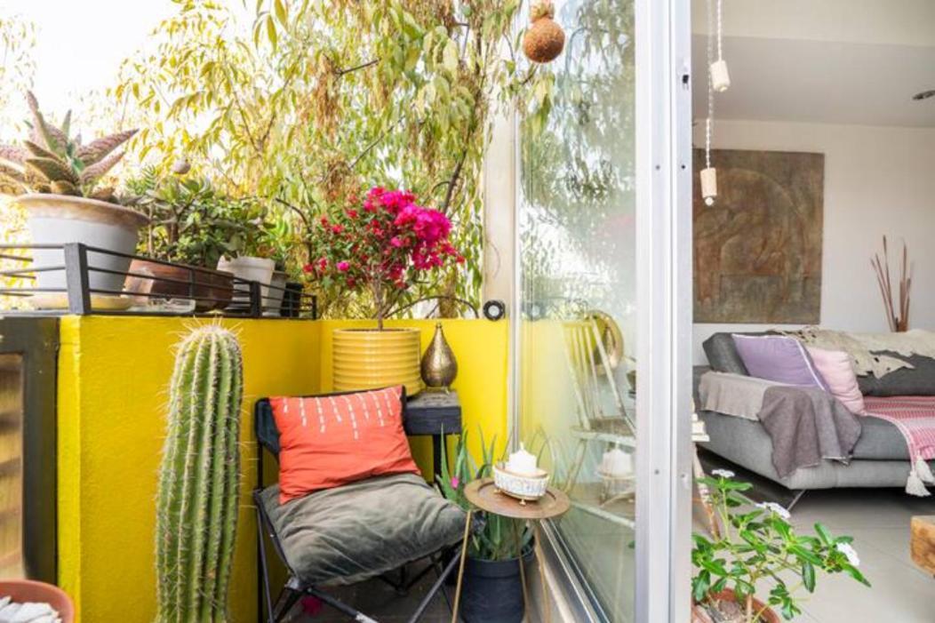 Pequena Habitacion Frida - Design Cdmx - Areas Comunes Compartidas Ciudad de México Exterior foto